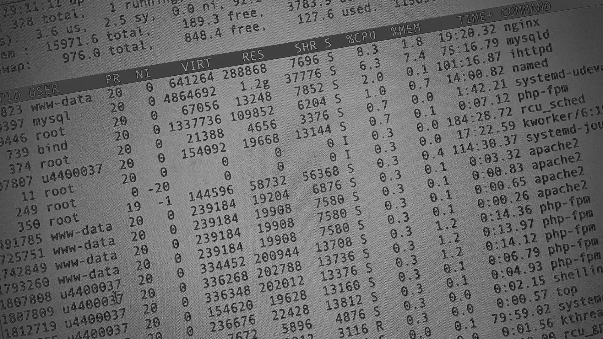 Настройка сервера в Черепаново